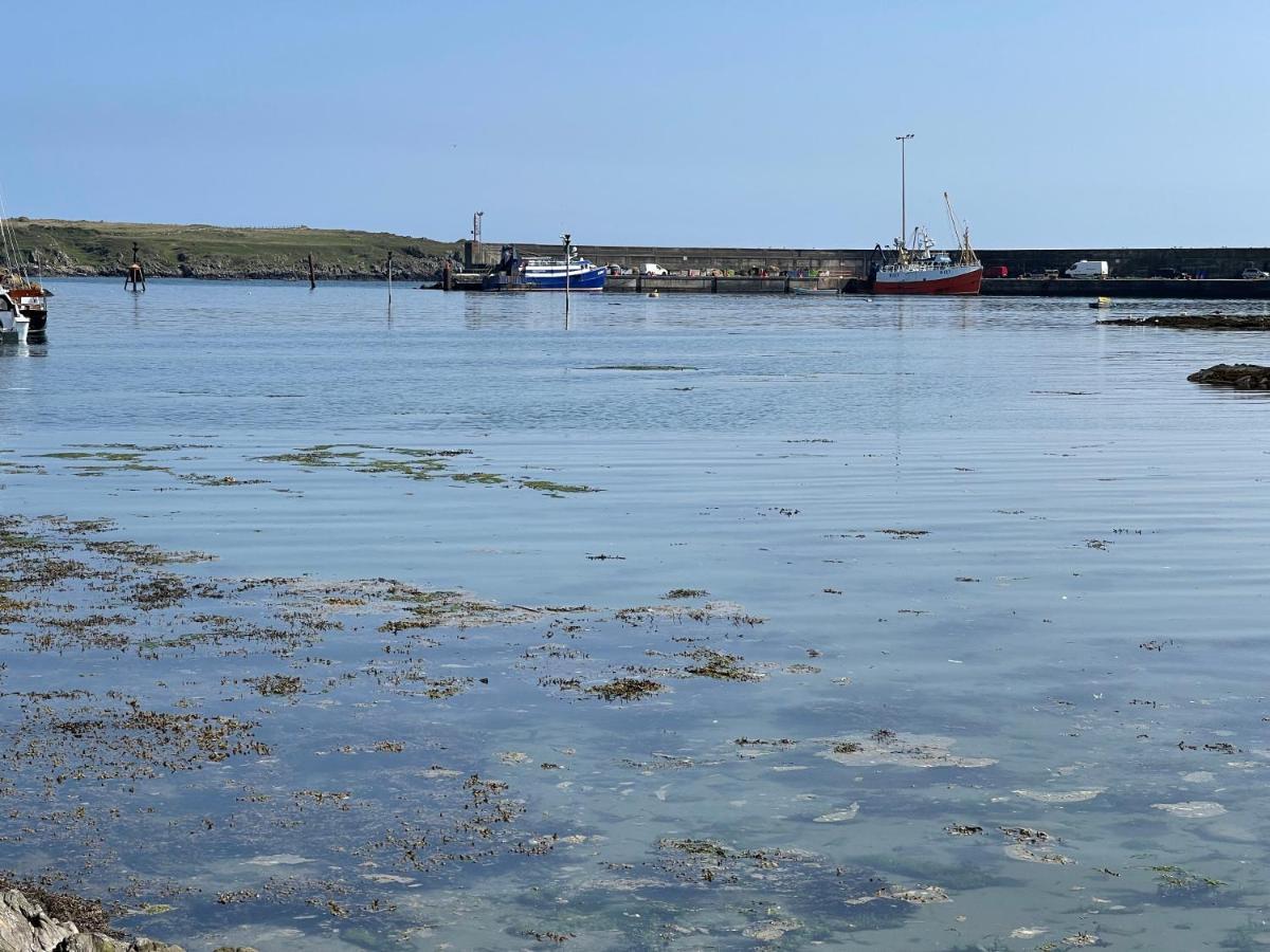 Lovely Apartment Overlooking The Harbour And Bay Ardglass Extérieur photo