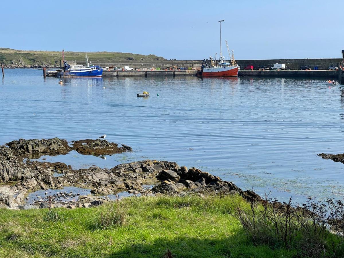 Lovely Apartment Overlooking The Harbour And Bay Ardglass Extérieur photo