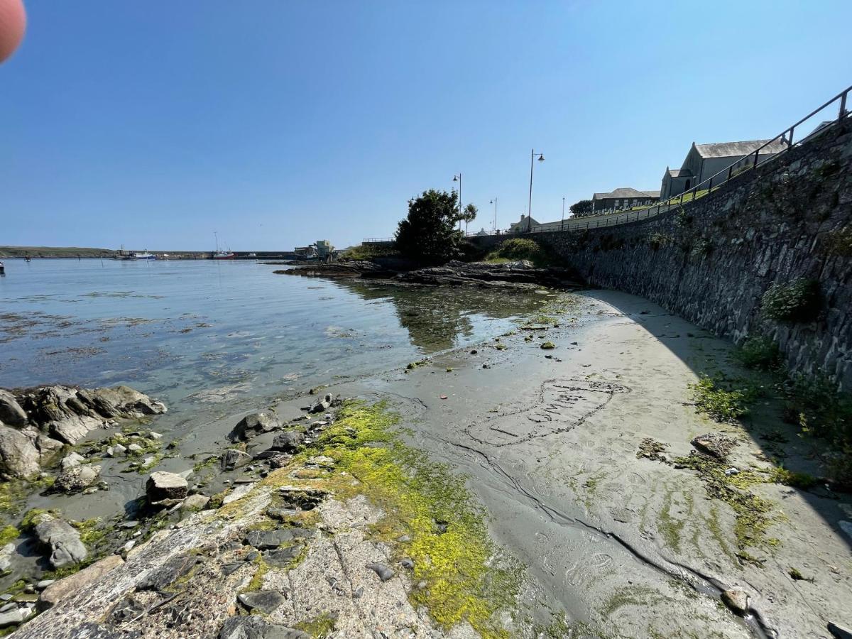 Lovely Apartment Overlooking The Harbour And Bay Ardglass Extérieur photo